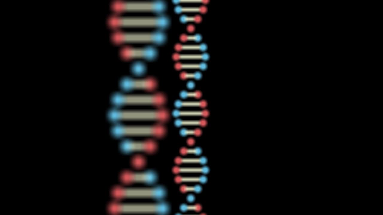 Animazione 2D di due DNA su sfondo nero. La messa a fuoco si sposta dal primo piano allo sfondo. Carrellata da sinistra a destra. 60FPS