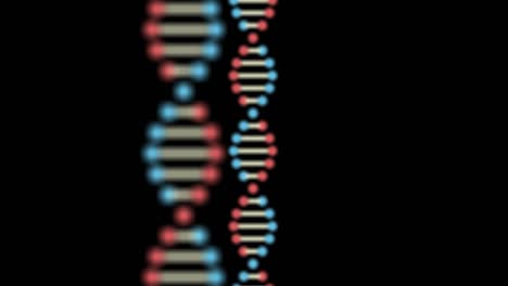 2d animation of two dna on a black background. the focus moves from the front to the back. truck shot from left to right. 60fps