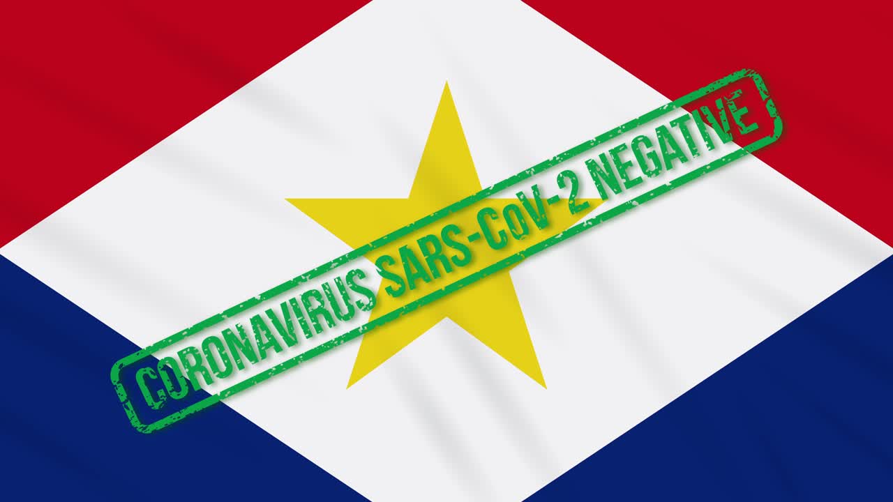 사바는 코로나 바이러스로부터의 자유의 녹색 스프를 가진 발을 흔들고 있습니다.