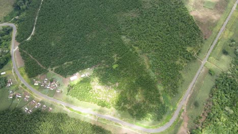 Stadtlandschaft-afrika-Dorf-In-Der-Grünen-Walddecke