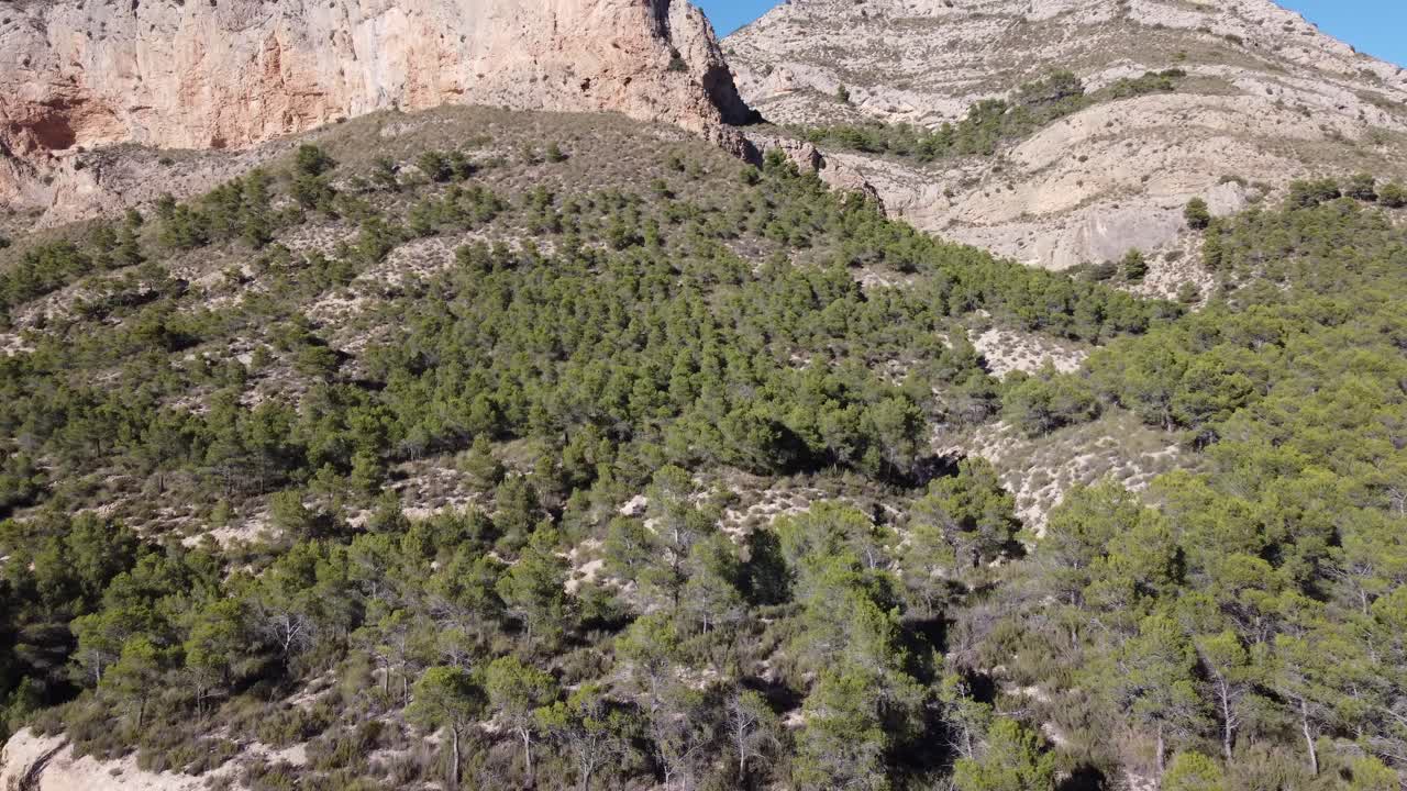 drone disparó de un paisaje lleno de árboles y plantas en un día soleado