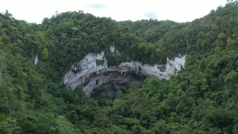 avión no tripulado volando en el valle del cañón del bosque hacia la apertura de la cueva langun gobingob
