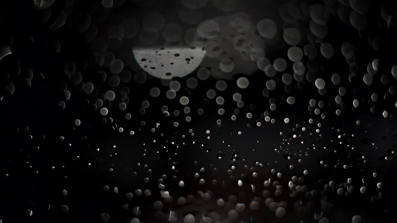 Rainy Night City Lights