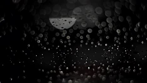 rainy night city lights