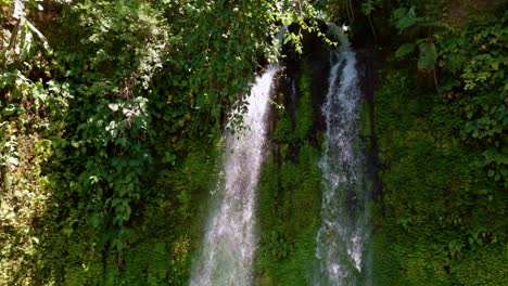 Toma-De-25-Fps-De-Una-Corriente-Gemela-De-Cascadas-Que-Fluyen-Entre-Sí-Entre-Una-Espesa-Vegetación-Natural