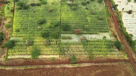 farm farmland landscape rural
