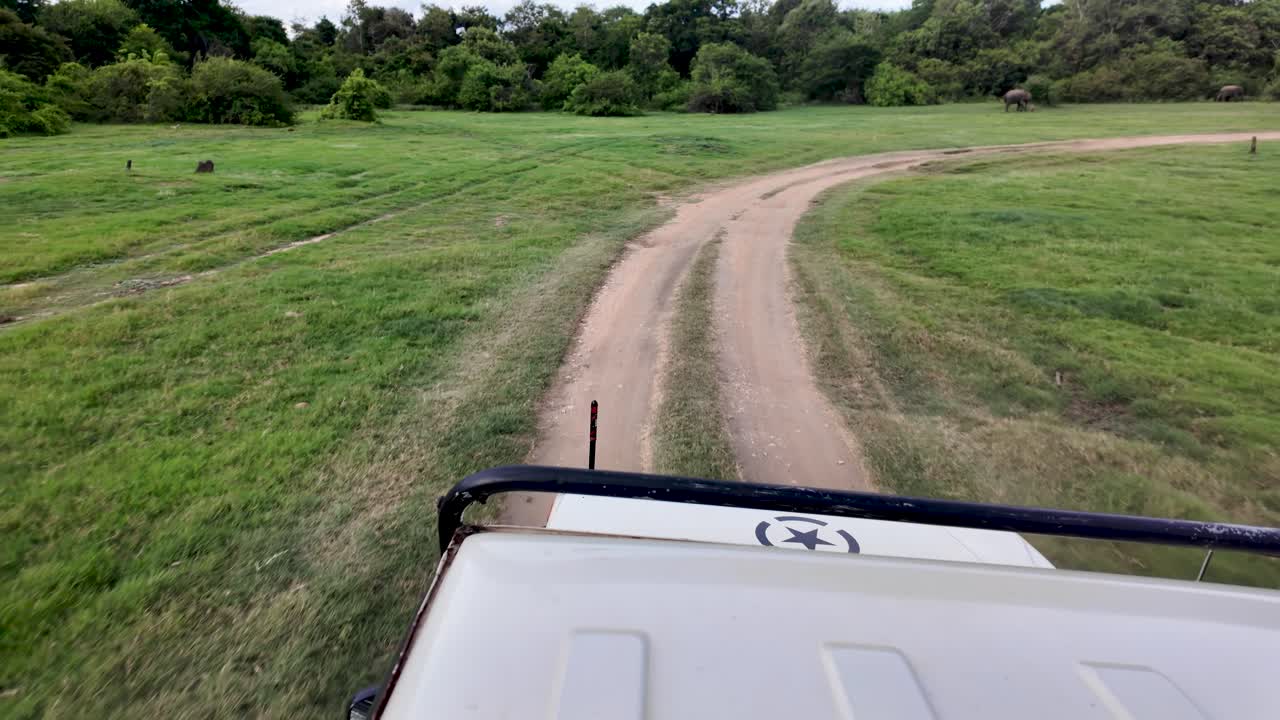 POV Driving on a dirt road in a 4x4 jeep during a safari, observing elephants in the distance