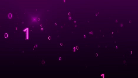 digital purple binary data scan loop background stok video