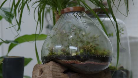 floral workshop with the tiny ready-made ecosystems in the terrariums panorama left