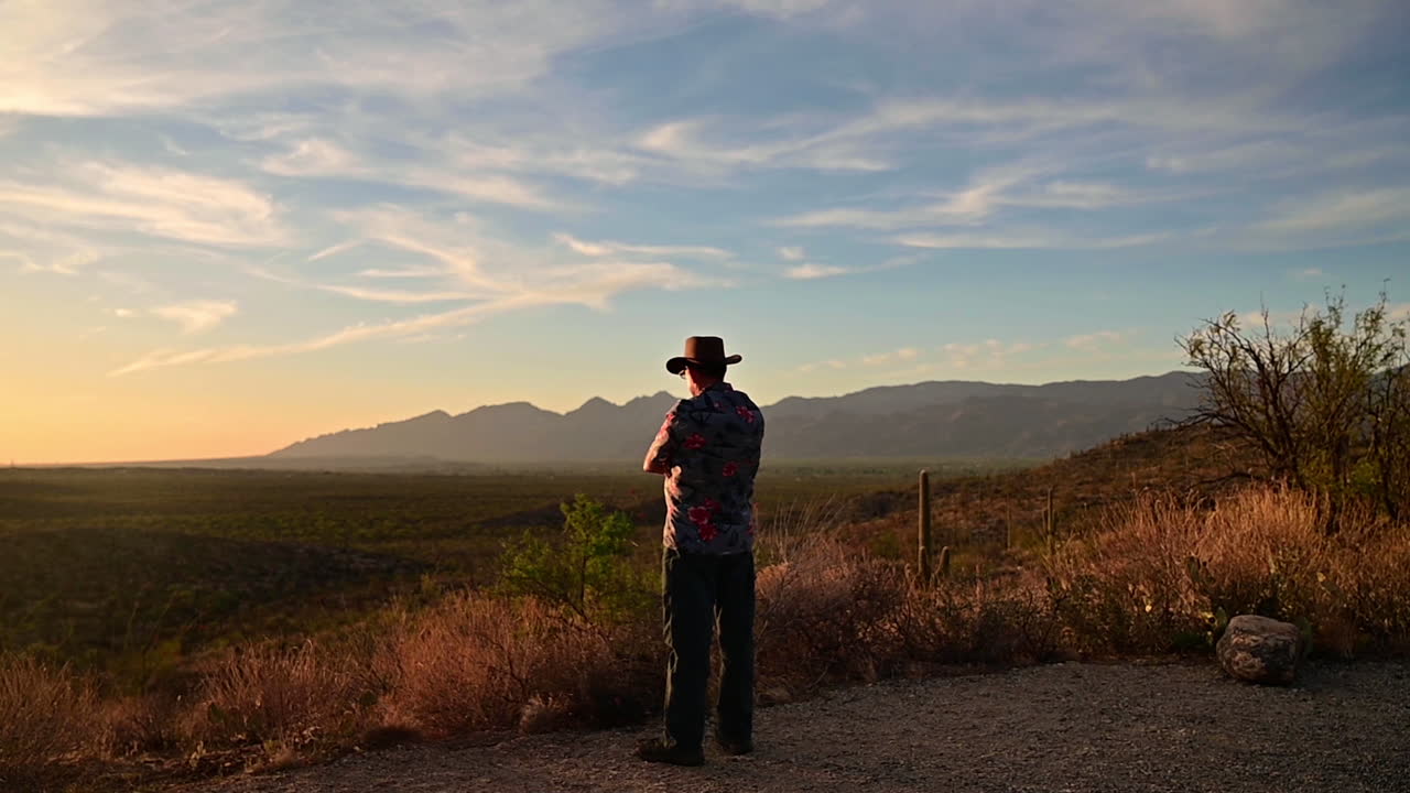el hombre admira la puesta de sol en el parque nacional saguaro, tucson, arizona