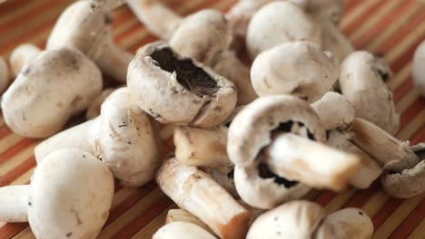 close-up of fresh white mushrooms