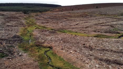 Forestry-timber-logging-harvesting-deforestation-aerial-view-rising-above-destroyed-woodland