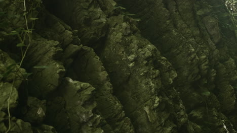 rocky wall with vegetation