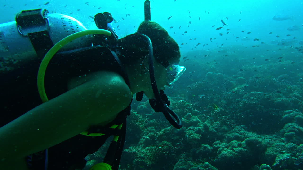 un día pasado buceando es un día bien pasado.