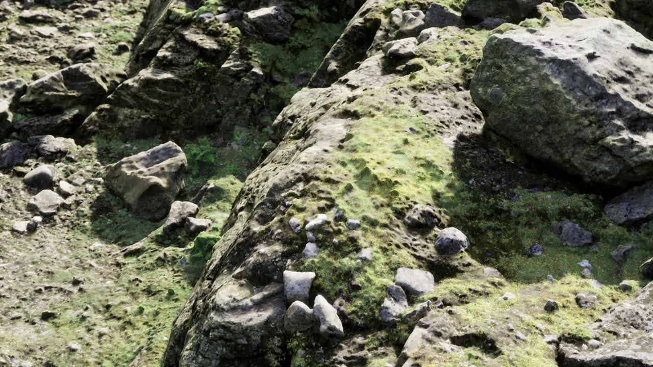 Exploring textured rocks and moss in a serene natural landscape by the shore