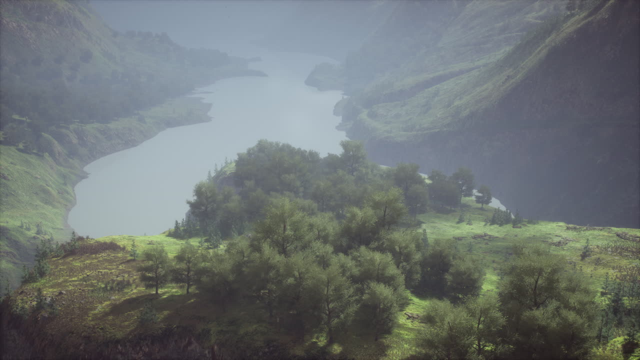 색 ⁇ 의 전망과 함께  ⁇ 은 날에 끝없는 숲