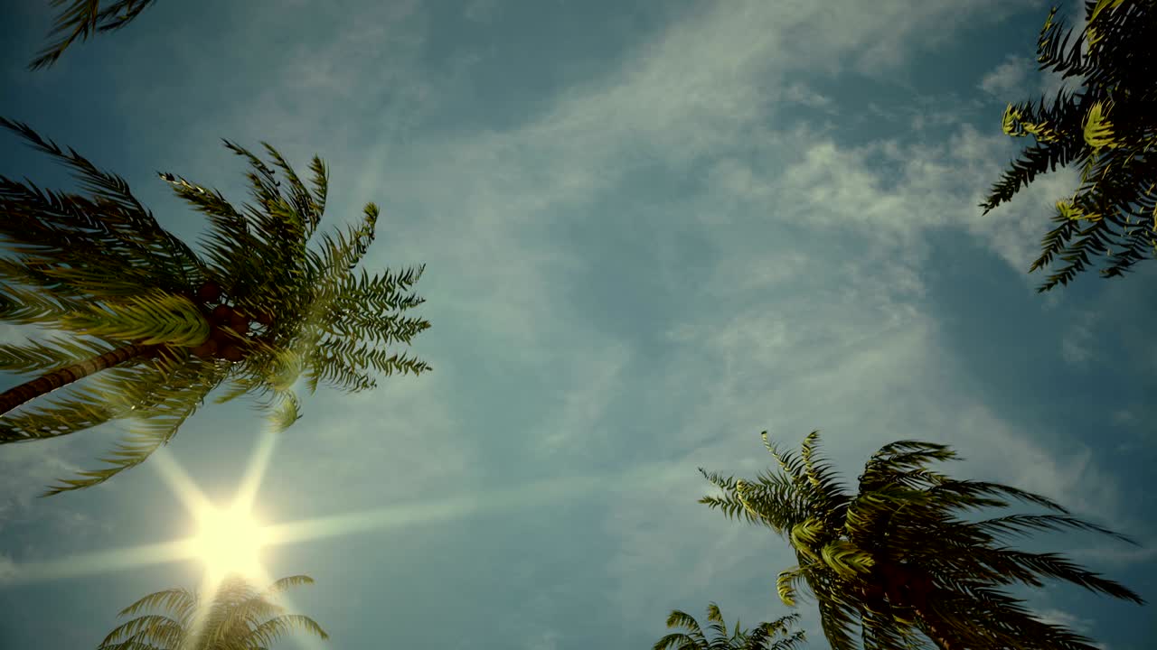 나무 골목을 가로질러 운전