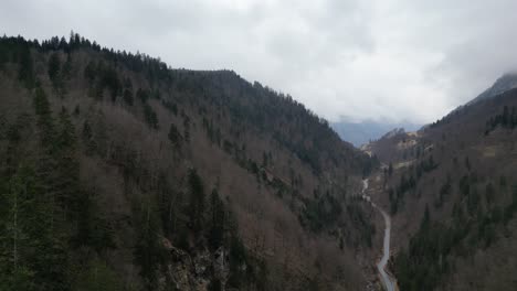 Ascend-above-forested-mountain-side-with-winding-footpath-or-road-along-valley-floor