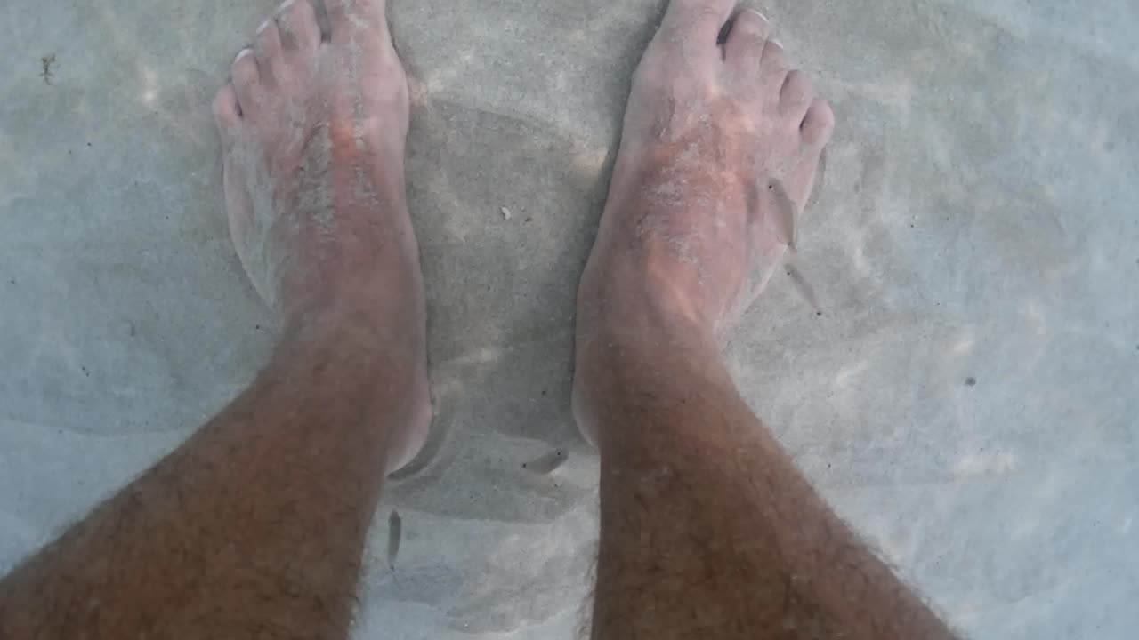 투명한 바닷물에서 인간의 다리와 발 피부를 먹는 작은 물고기의 수중 슬로우 모션 영상