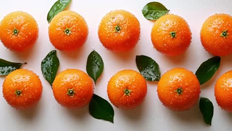 fresh oranges with water droplets and leaves
