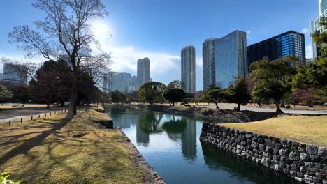 a serene canal with trees and hama rikyu gardens in a sunny urban cityscape