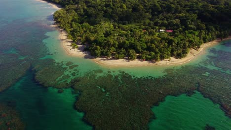 Punta-Uva-beach-with-characteristic-Coral,-Costa-Rica