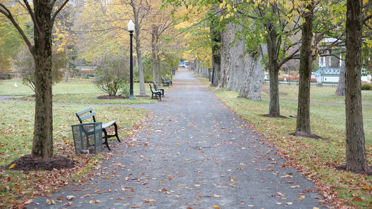 Autumn Path in the Park