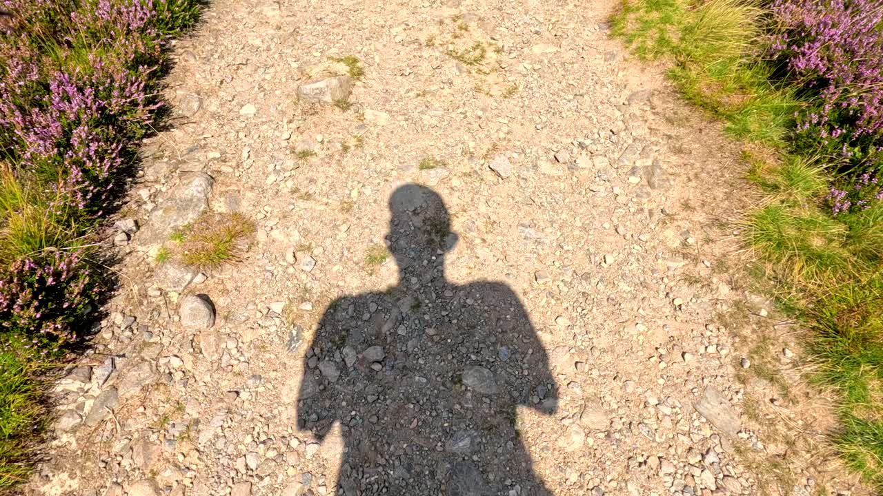 A person’s shadow moves steadily along a sunlit, rocky mountain path bordered by grass and heather, captured from a first-person perspective with natural daylight