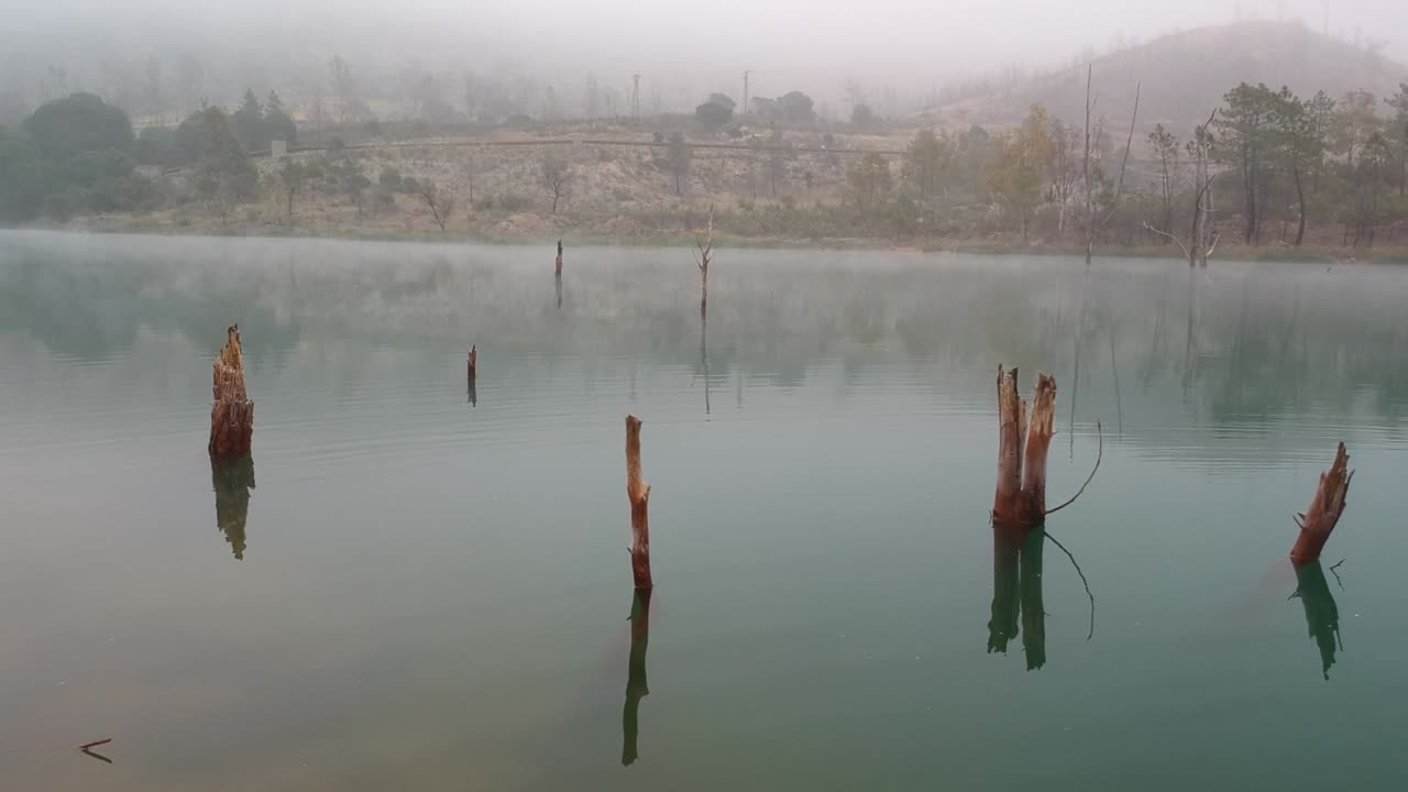 un disparo que se mueve hacia la izquierda de unas pocas ramas muertas que emergen de un lago tranquilo