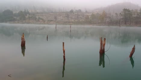 Un-Disparo-Que-Se-Mueve-Hacia-La-Izquierda-De-Unas-Pocas-Ramas-Muertas-Que-Emergen-De-Un-Lago-Tranquilo