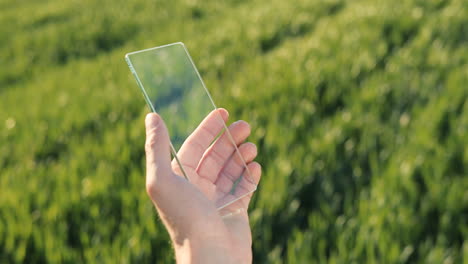 close-up view of researcher man hands in gloves tapping on glass in the green field