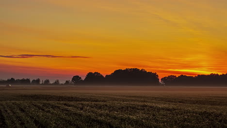 Ackerlandfelder-Während-Eines-Goldenen-Sonnenuntergangs-Hinter-Den-Fernen-Bäumen---Zeitraffer