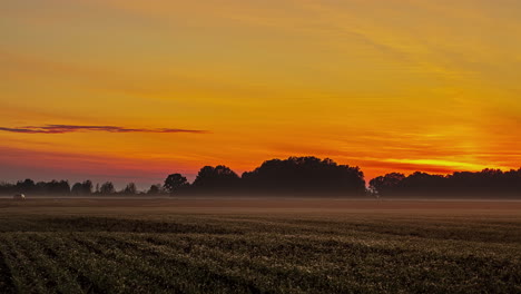 farmland fields during a golden sunset beyond the distant trees - time lapse