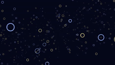 colorful floating circles on a black background