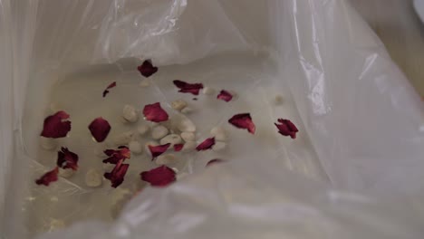 female foot steps in water with petals in beauty salon spa, closeup static