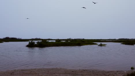 Observando-Pantanos-Y-Naturaleza-En-Un-Día-De-Niebla-Cerca-De-Corpus-Christi