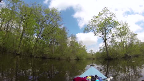 kayaker's point-of-view paddling on river through cypress forest