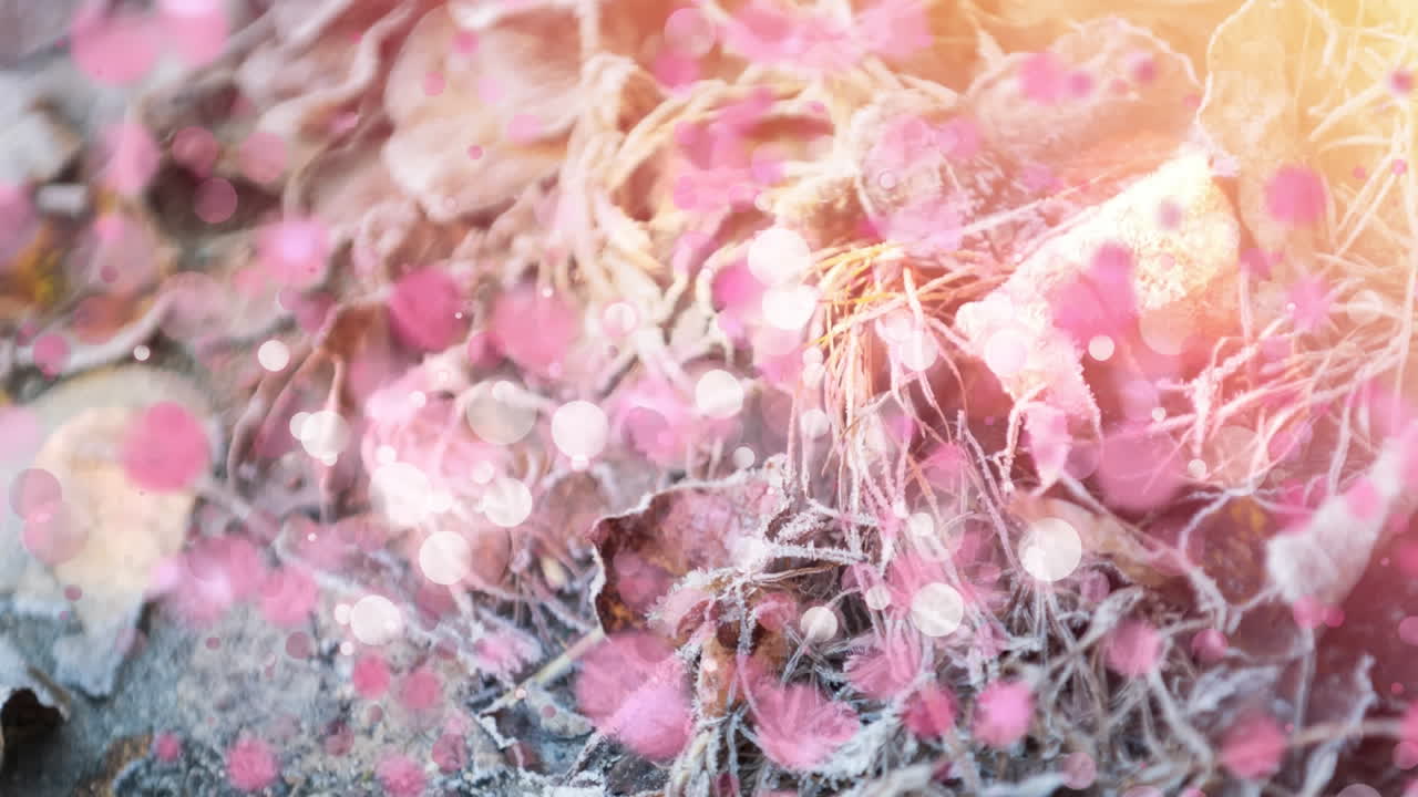 배경 에 있는 겨울 풍경 위 에  ⁇ 박이는 분홍색 반점 들 의 애니메이션