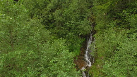 silky smooth stream of clear water