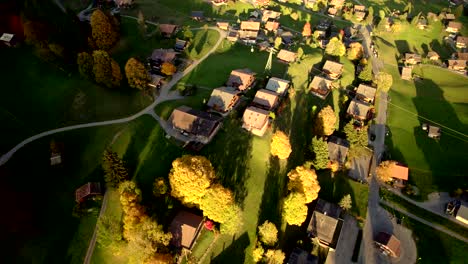 aerial-drone-footage-pushing-in-over-Bodmi-area-in-Grindelwald-in-Switzerland,-autumn