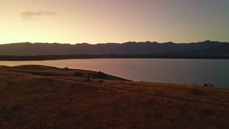 person standing above lake pukaki, new zealand at golden hour