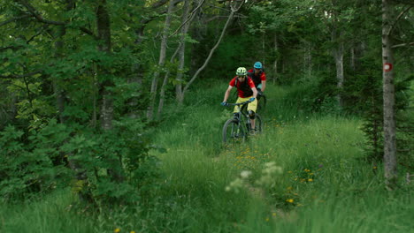 two mountain bikers on a forest trail