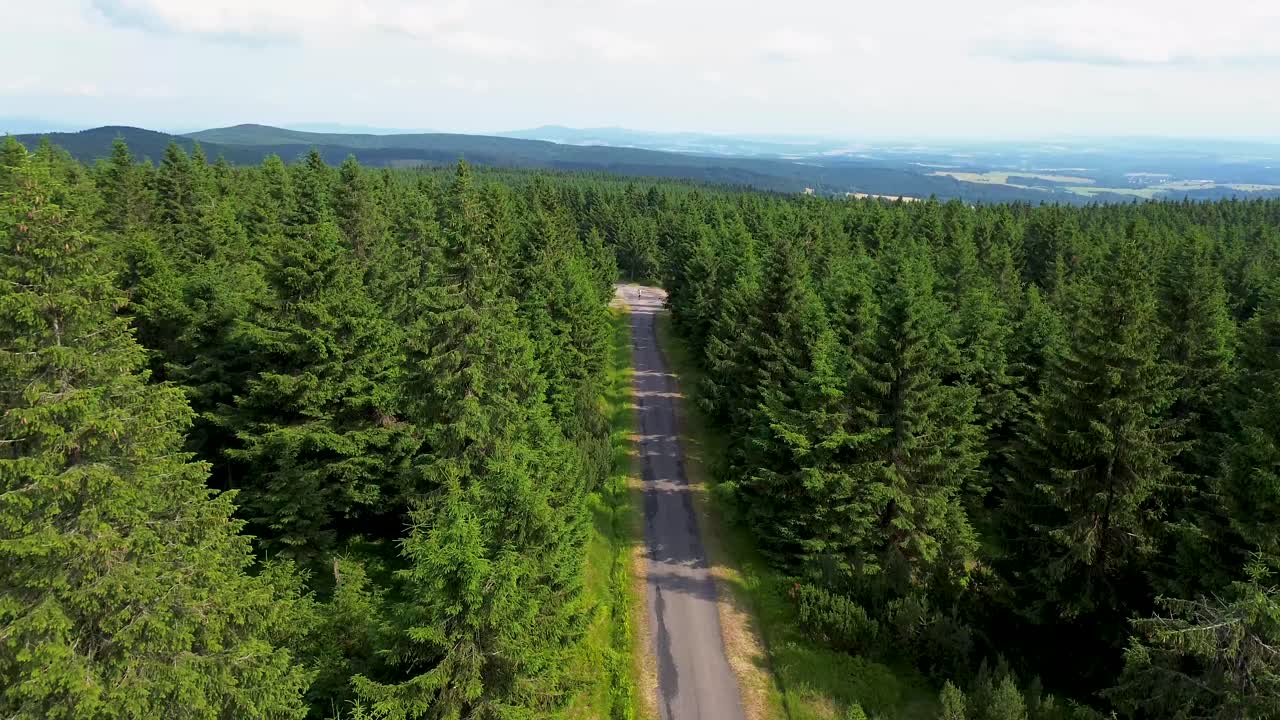 vista del avión no tripulado mientras vuela sobre los árboles y la carretera en las montañas con el valle en el fondo