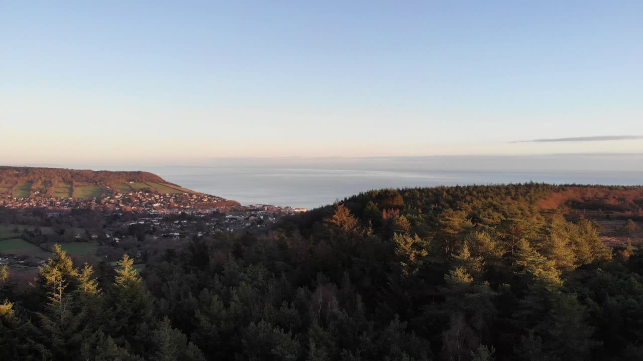 Aerial view of Mutters Moor near Sidmouth, Devon, with its paths, fields and forest, showing the English Channel in the background. Pan Left shot