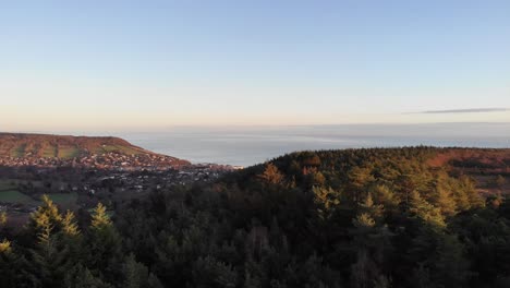 aerial view of mutters moor near sidmouth, devon, with its paths, fields and forest, showing the english channel in the background. pan left shot