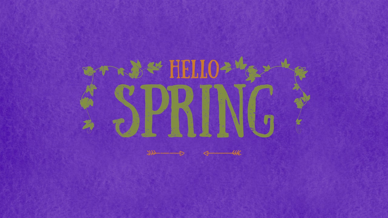 Hello Spring a vibrant welcome to the season