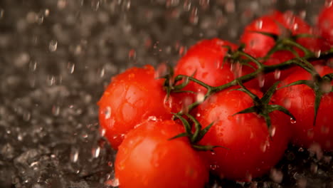 water raining on cherry tomatoes