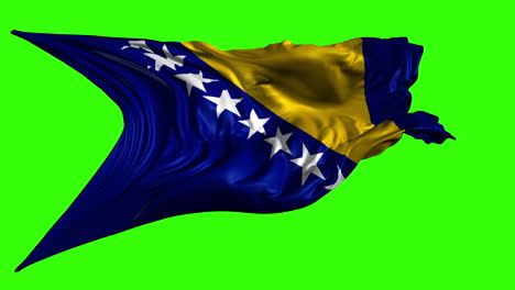 flag of bosnia and herzegovina