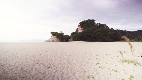 Océano-índico,-Maroni,-Guyane,-Guyana,-Punto-De-Vista,-Surinam,-Guayana-Francesa,-Turismo,-Nubes,-Ecuatorial,-árboles,-Curvas,-Verano,-Bonitas,-Pabellón,-Indígena,-Sudamerica,-Vacaciones