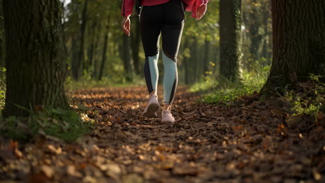 person walking on a leaf-covered forest path in autumn